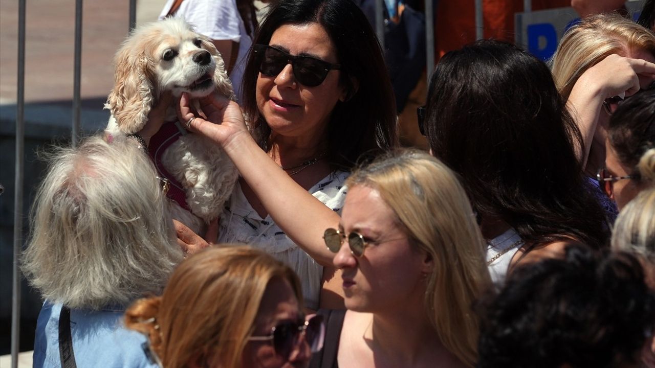 Ankara'da Sahipsiz Hayvanlar İçin Eylem