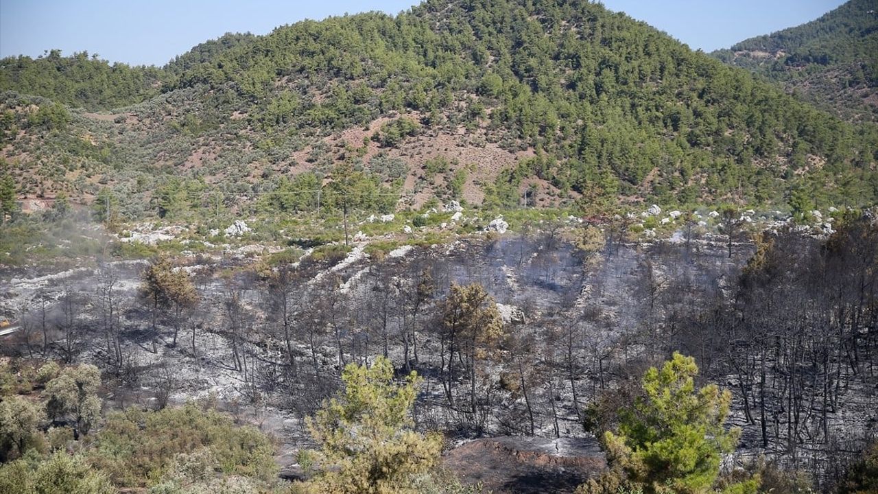 Antalya'da Orman Yangınına Hızlı Müdahale