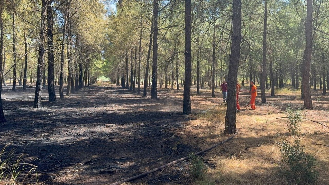 Antalya'daki Orman Yangını Kontrol Altına Alındı