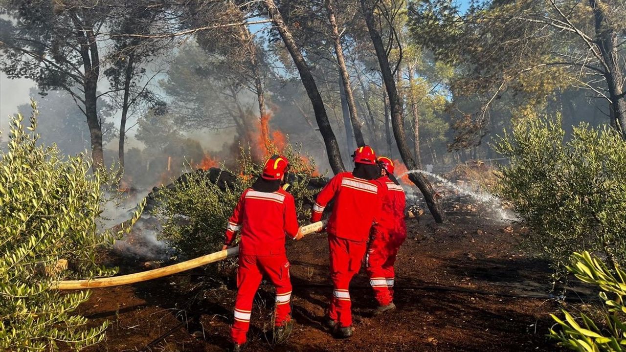 Arnavutluk'ta Orman Yangını Panik Yarattı