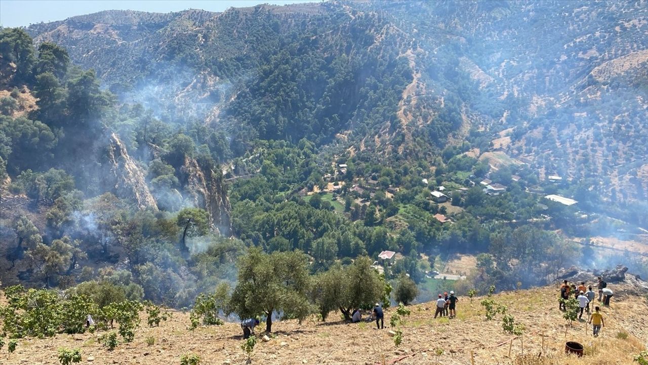 Aydın'da Orman ve Zeytinlik Yangını Kontrol Altına Alındı