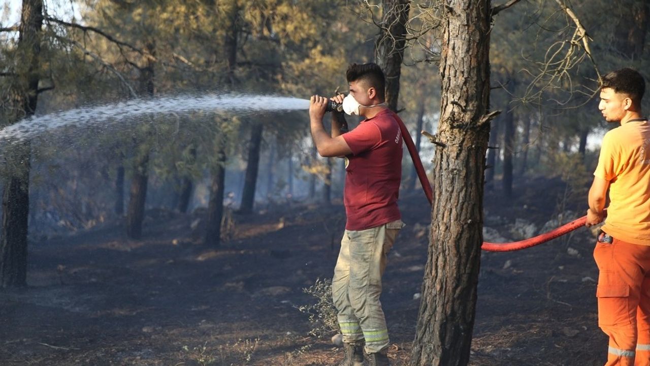 Balıkesir Altıeylül'de ormana sıçrayan yangın kontrol altına alınmaya çalışılıyor: Gözaltılar var