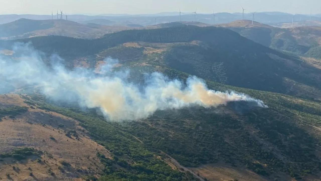 Balıkesir'de ormanlık alanda yangın! Ekipler karadan ve havadan müdahele ediyor