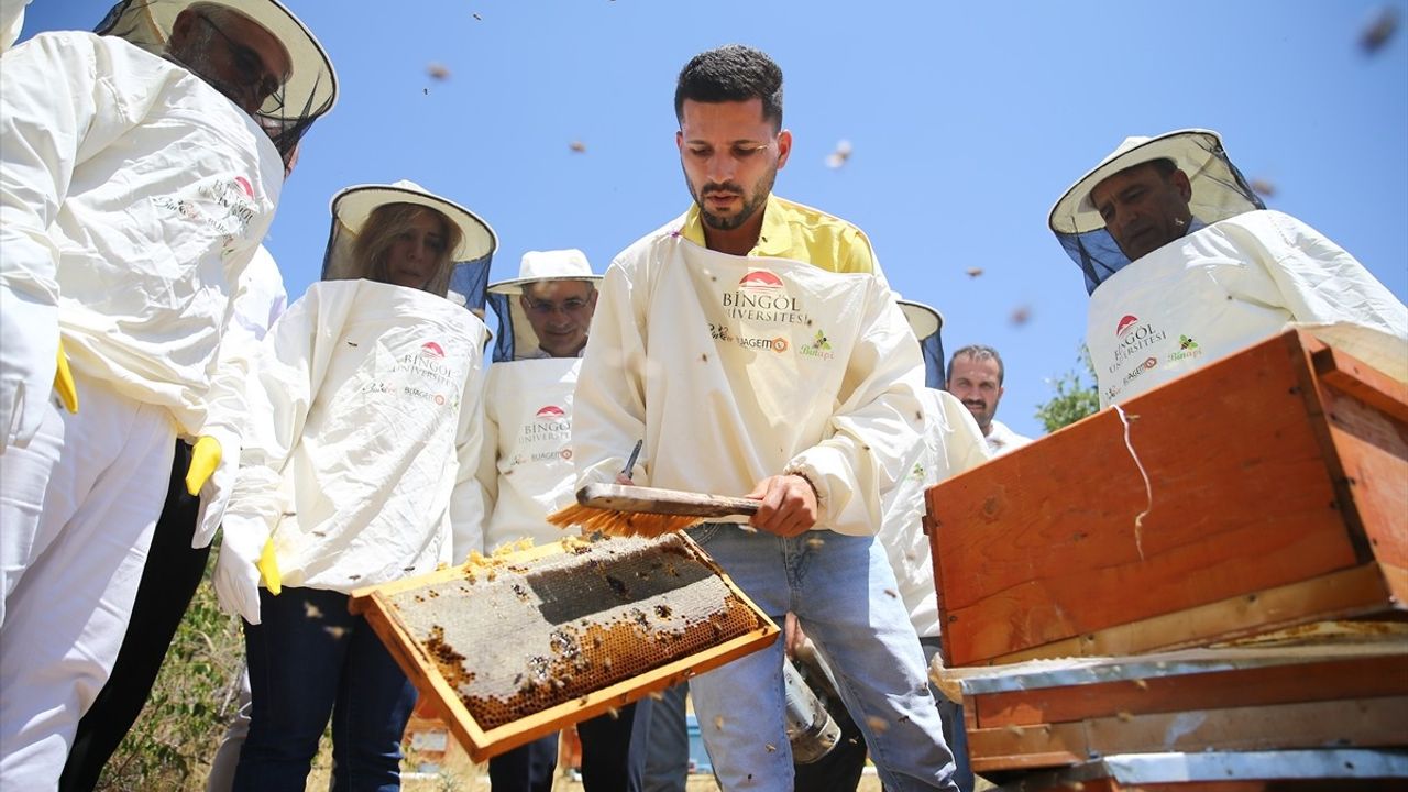 Bingöl Balı Hasat Sezonu Başladı