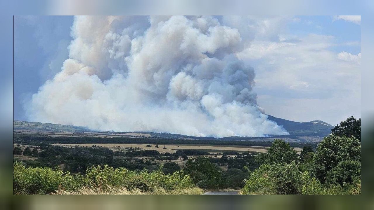 Bulgaristan Cumhurbaşkanı'ndan Erdoğan'a teşekkür mesajı 