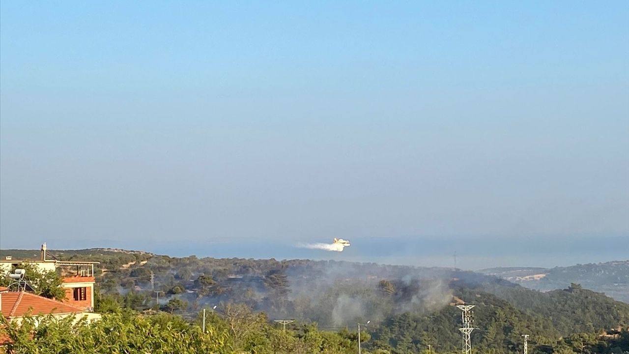 Çanakkale'nin Ayvacık ilçesinde çıkan orman yangını kontrol altına alındı