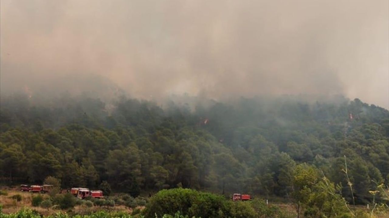 Fransa'da Orman Yangını: 65 Hektar Yandı