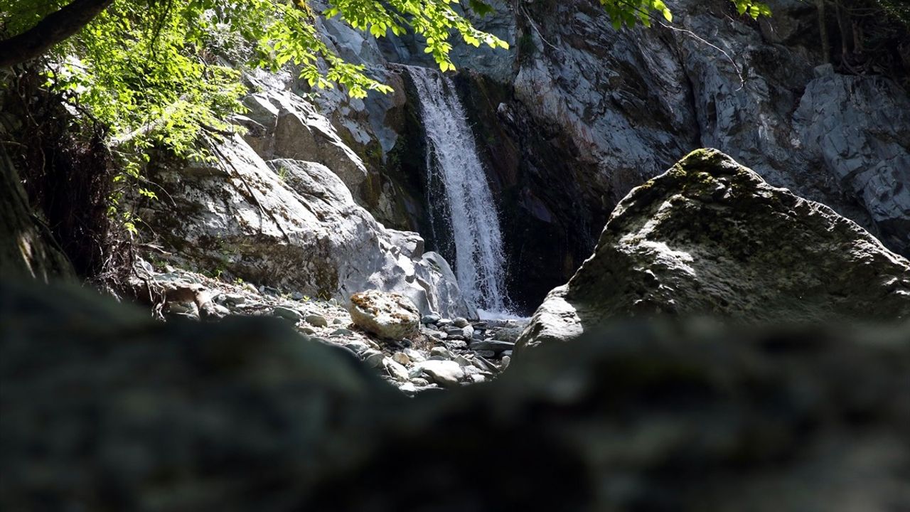 Gürleyik Şelalesi Turizme Kazandırılıyor