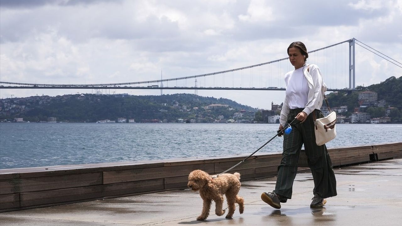 İstanbul'da Kısa Süreli Yağmur Yaşanan Zorluklar