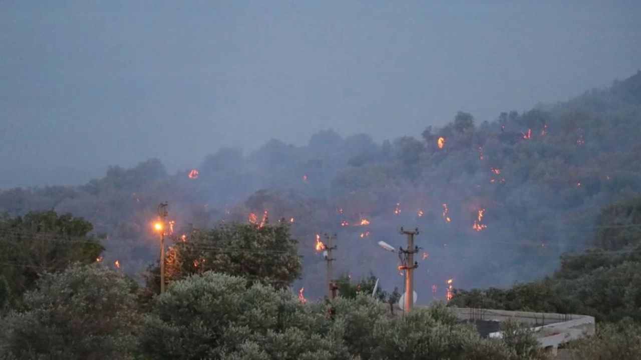 İzmir Bornova'da ki orman yangını şüphelisi tutuklandı!