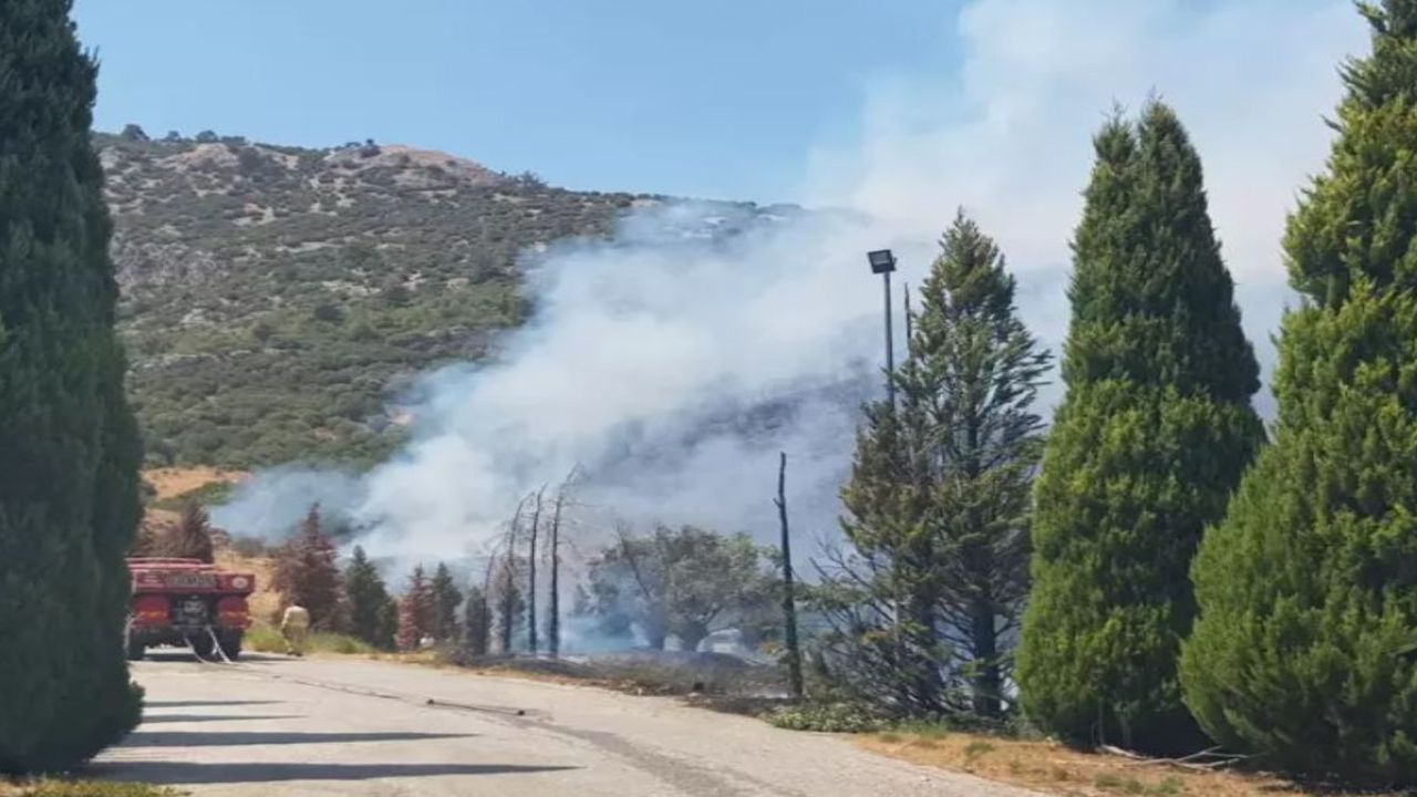 İzmir'de yine orman yangını! Selçuk'ta alevler yükseldi