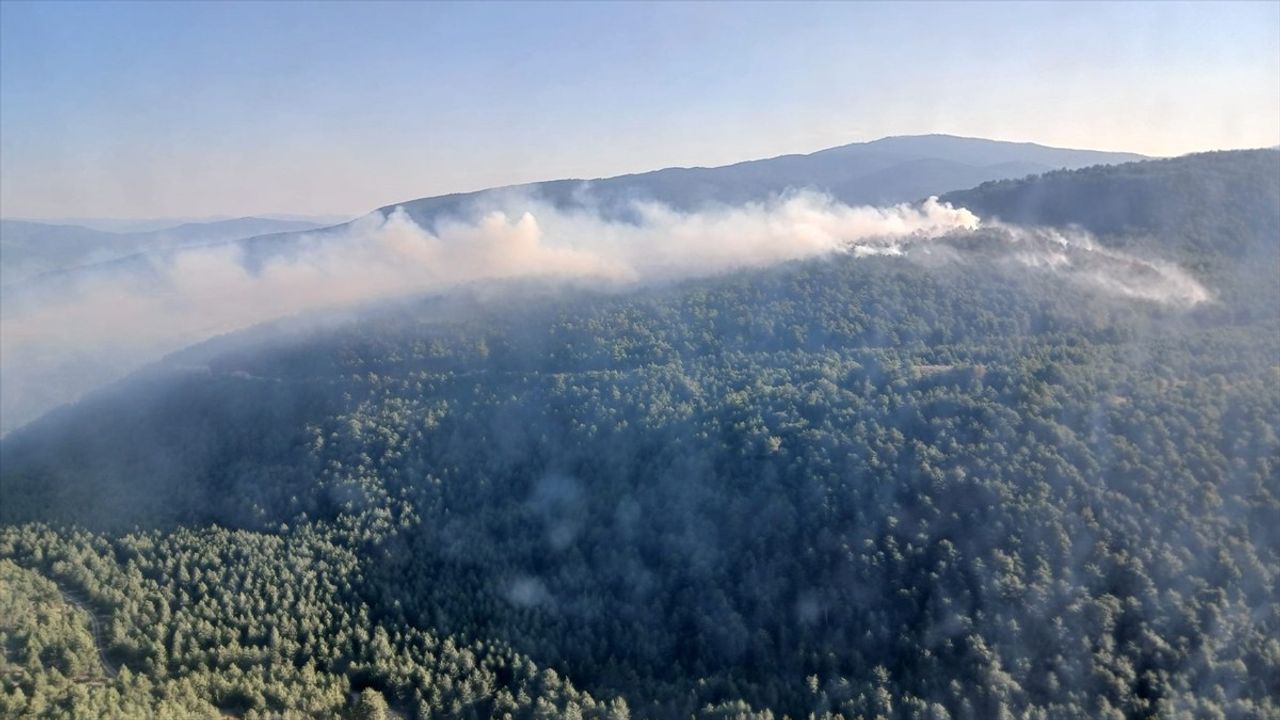 Karabük'te Orman Yangınına Hızla Müdahale Ediliyor