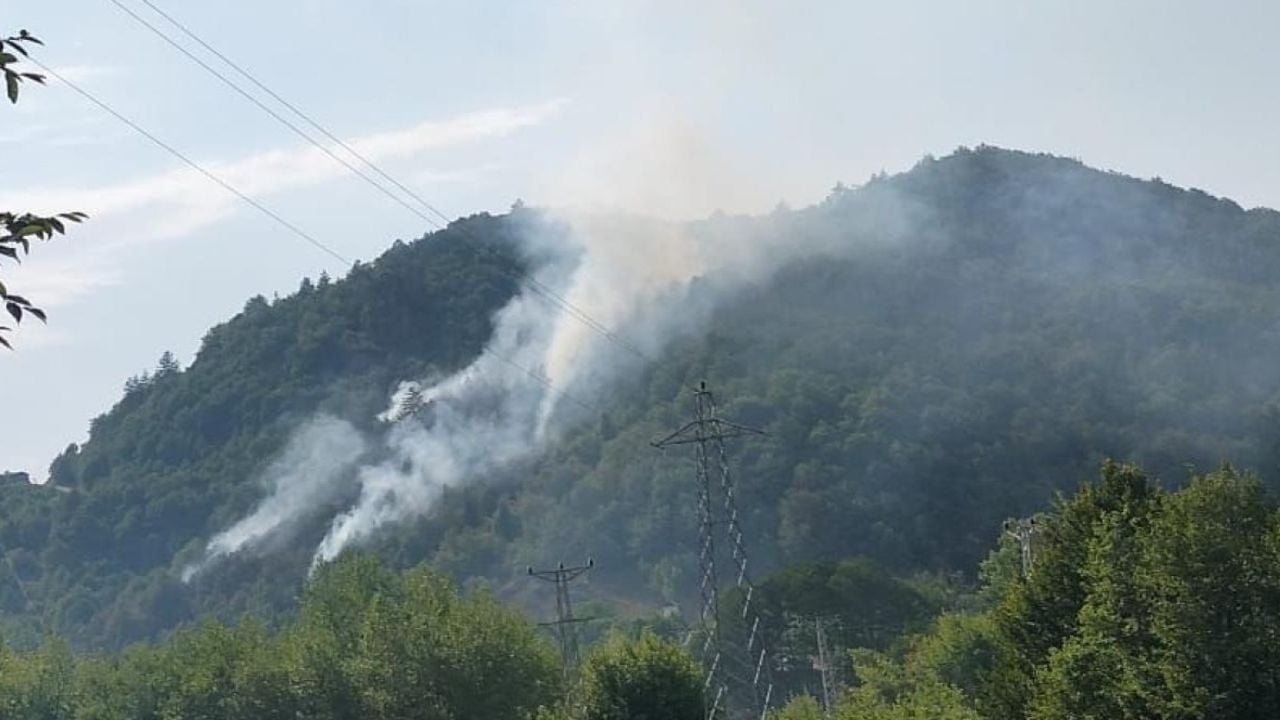 Kastamonu Azdavay'da orman yangını çıktı, ekipler müdahalede!