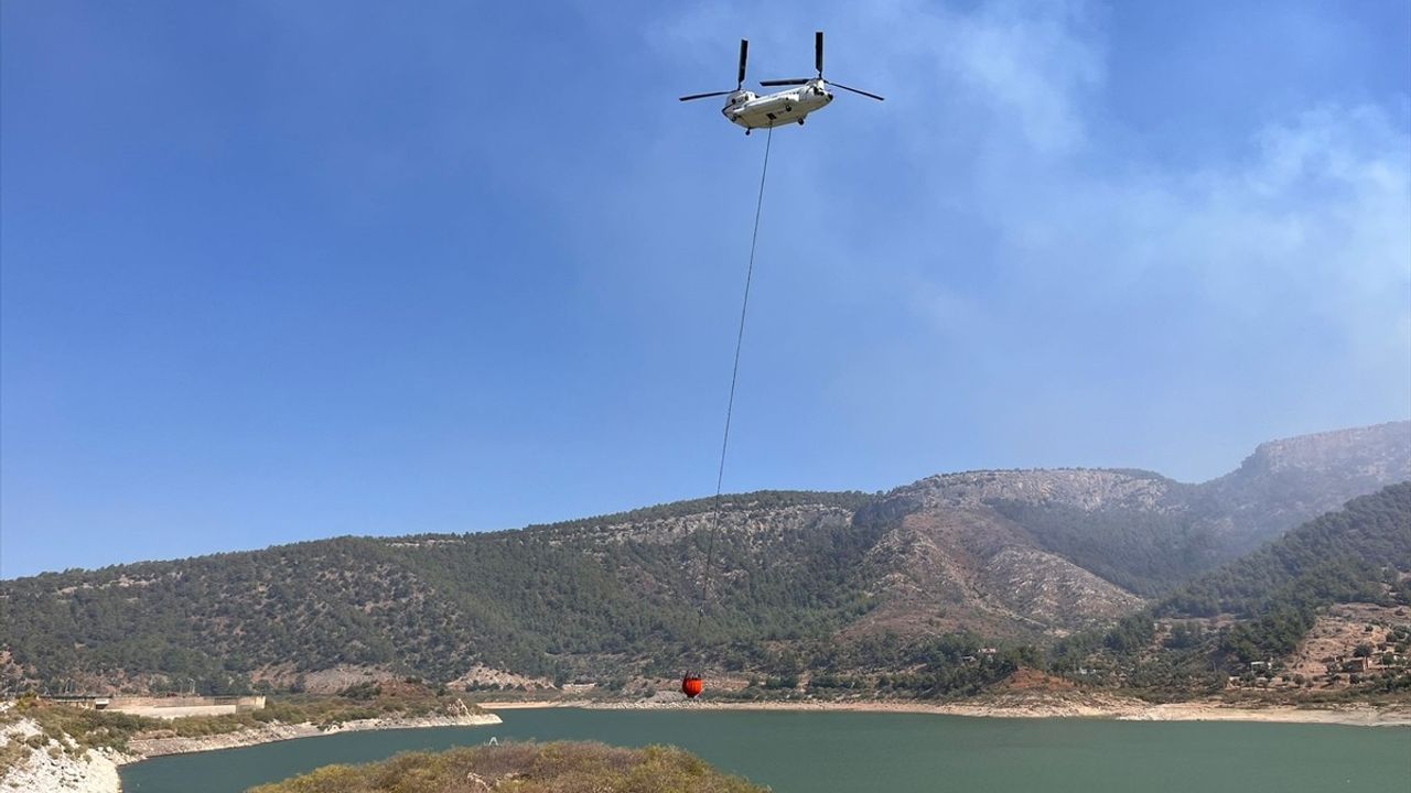 Muğla Milas'ta Orman Yangınına Müdahale Başlatıldı