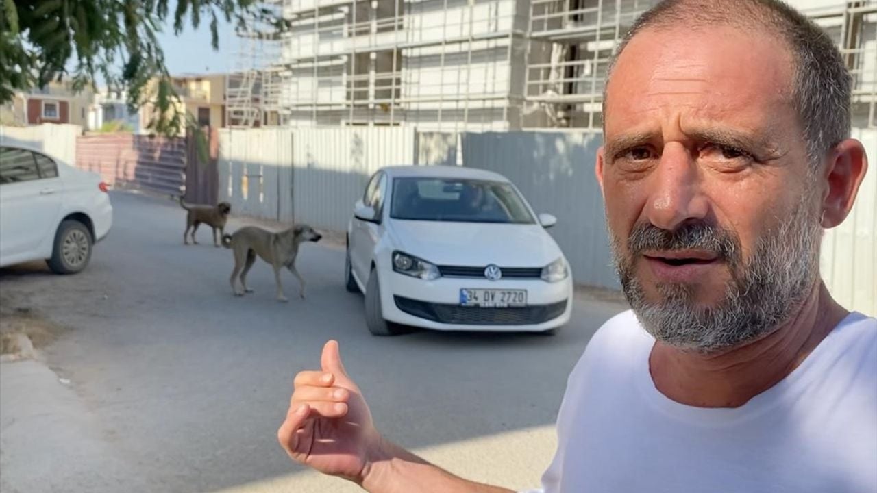 Antalya'da Saldırgan Köpeğin Yeniden Sokağa Bırakılması Tartışma Yarattı