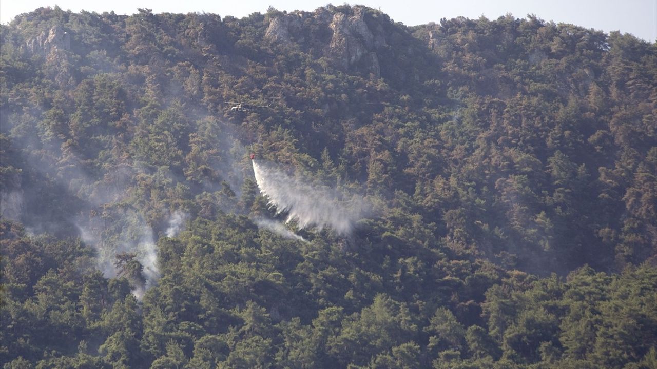 Aydın'da Çıkan Yangın, 140 Hektar Alanı Kül Etti