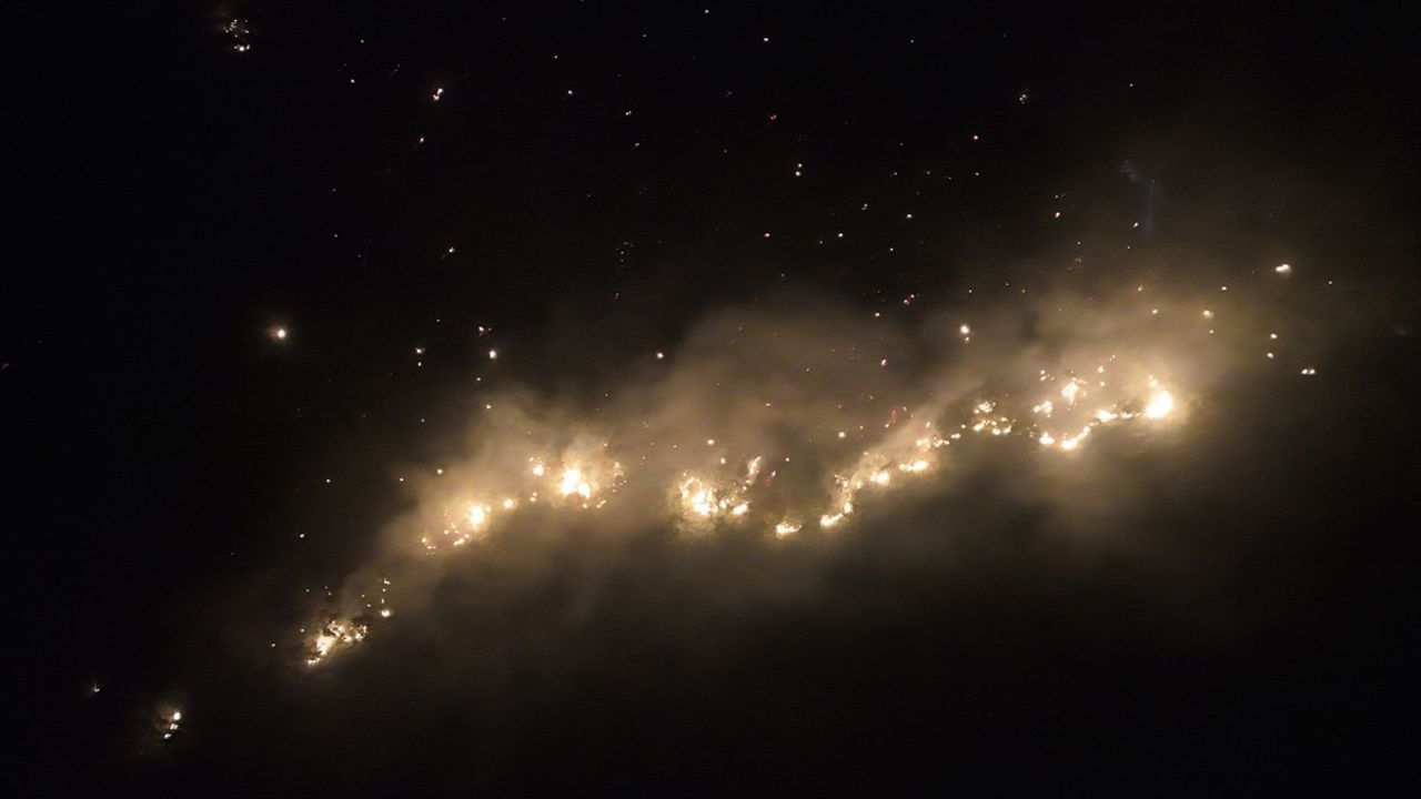 Bingöl'de Orman Yangınına Hızlı Müdahale