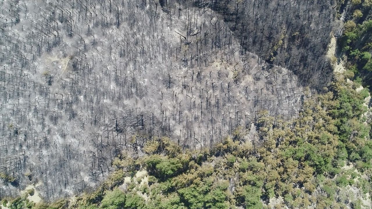Bolu'da Orman Yangını Hava Görüntüleri ile İncelendi