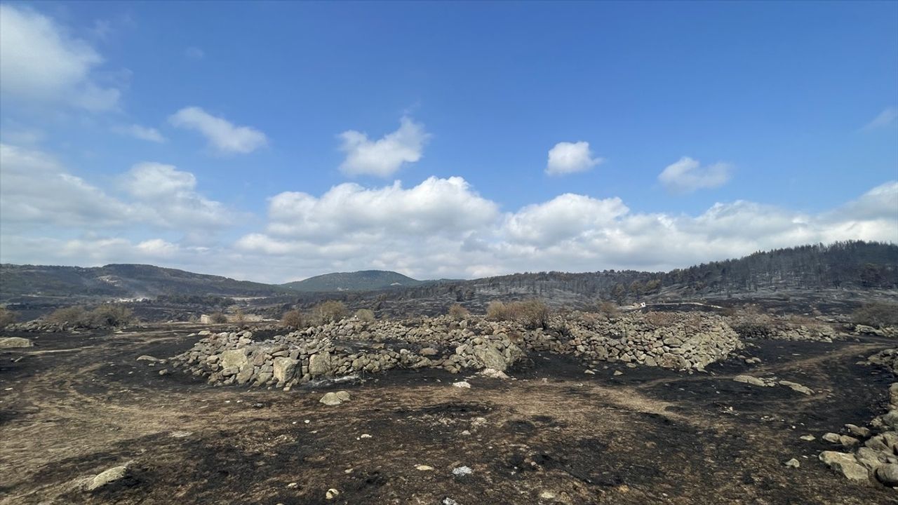 Bolu'da Yangın Kontrol Altına Alındı, Soğutma Çalışmaları Devam Ediyor