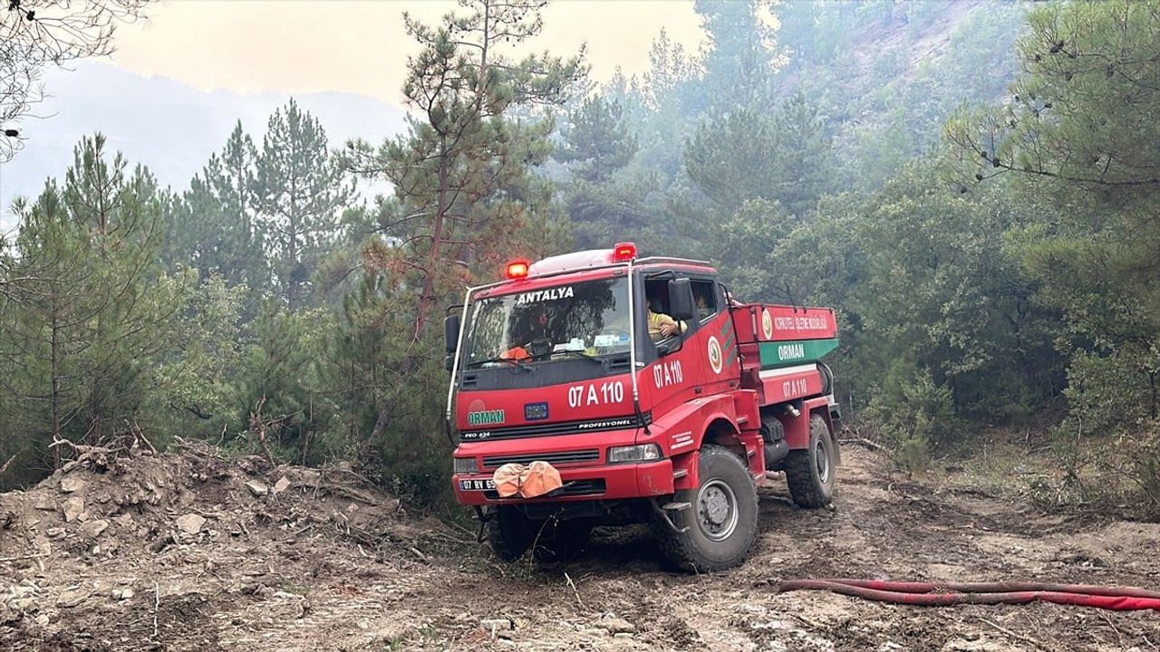 Bolu'daki Orman Yangınına Gönüllü Destek