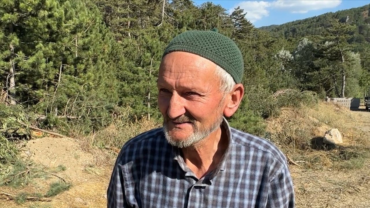 Bolu Orman Yangınına Mücadele Devam Ediyor