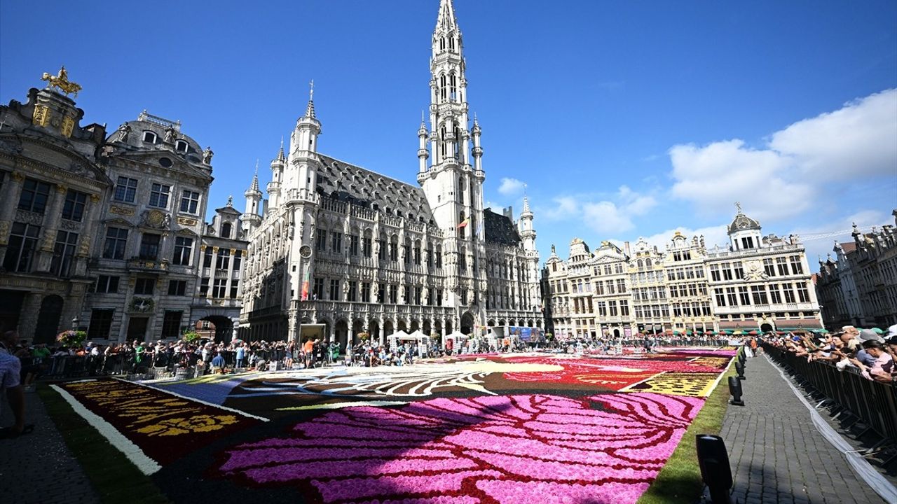 Brüksel'in Grand Place Meydanı'nda Çiçek Halısı