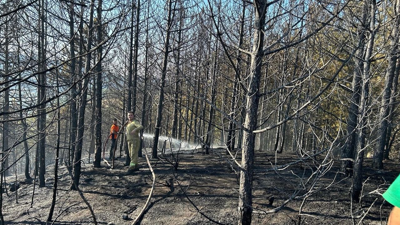 Bursa'daki Orman Yangını Hızla Kontrol Altına Alındı
