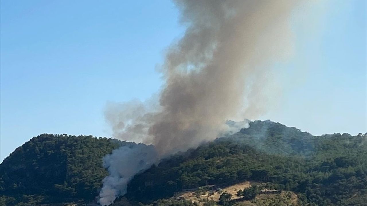 Çanakkale Ayvacık'ta Orman Yangınına Hızla Müdahale