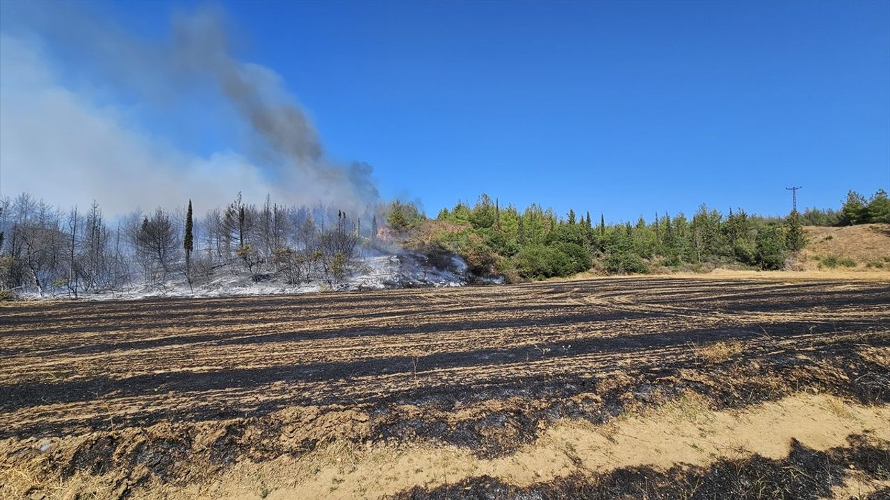 Çanakkale Eceabat'taki Orman Yangınına Müdahale Başladı