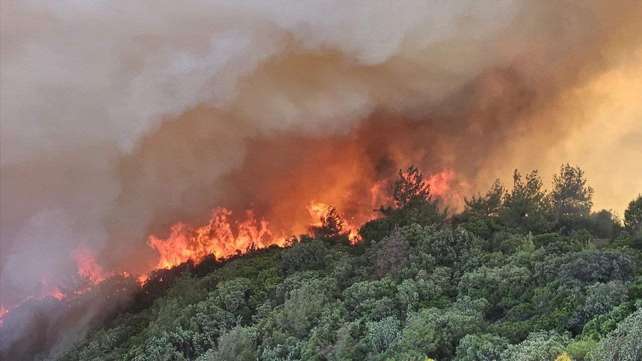 Çanakkale Eceabat'taki Orman Yangınına Müdahale Devam Ediyor