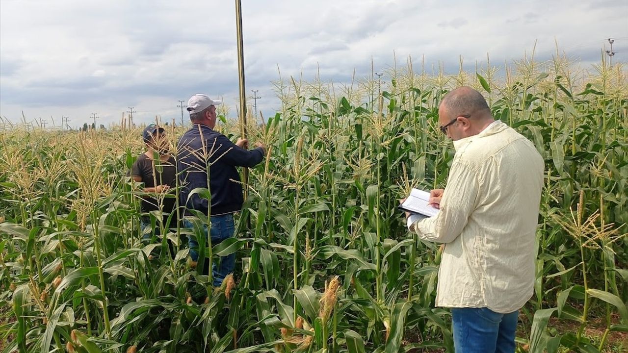 Çankırı Karatekin Üniversitesi'nin Tarımda Yenilikçi Yaklaşımları