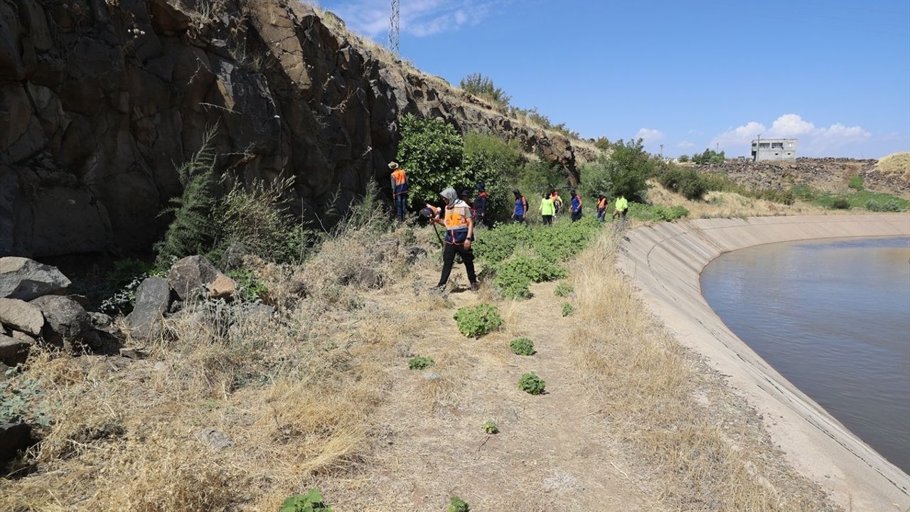 Diyarbakır'da Kaybolan 8 Yaşındaki Narin İçin Arama Çalışmaları Sürüyor