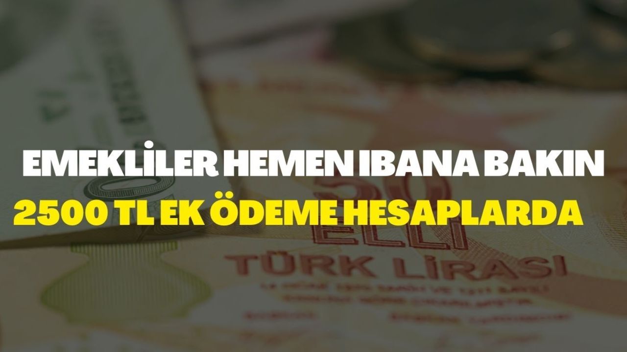 Emekliler pürdikkat kesilecek! Meclis'te onaylandı: 09.00'da IBAN'a 2500 TL aktarıldı