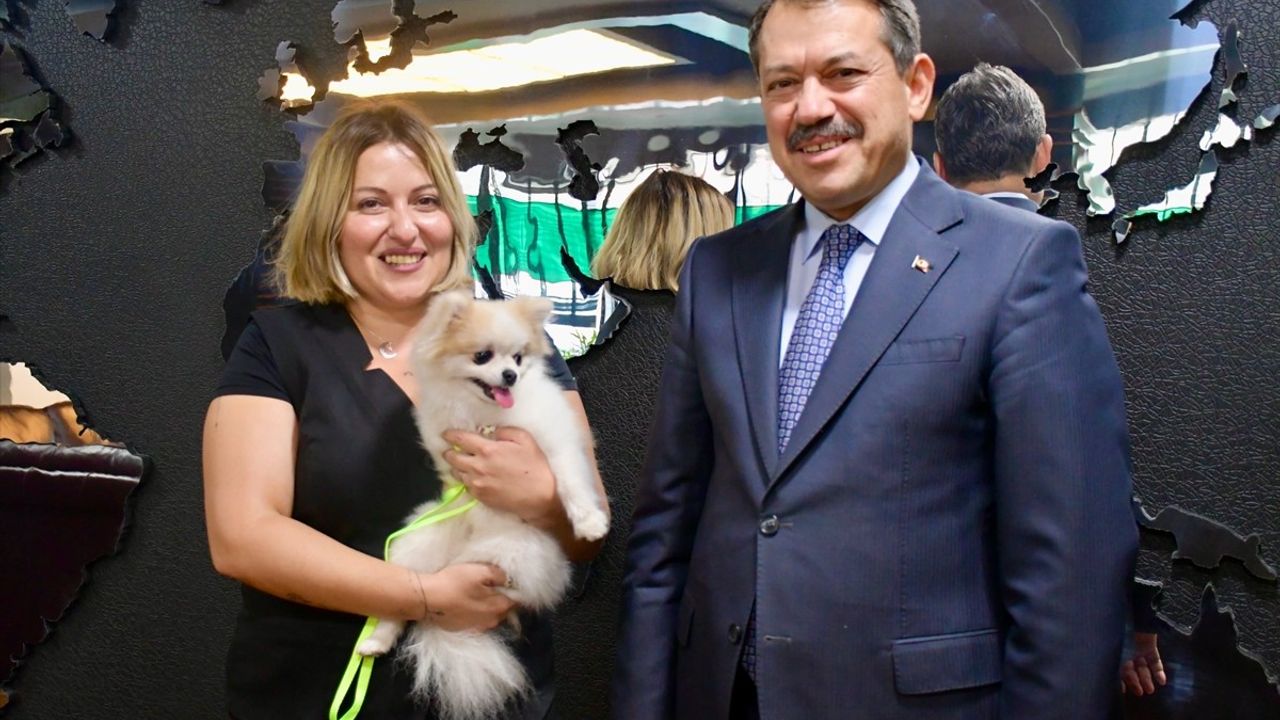 Eskişehir'de Köpeğe Şiddet Uygulayan Şüpheli Adliyeye Sevk Edildi