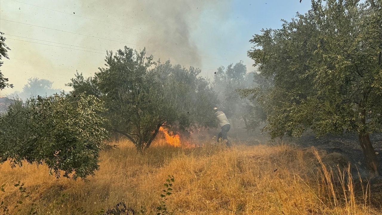 Germencik'te Yangına Hızla Müdahale Ediliyor