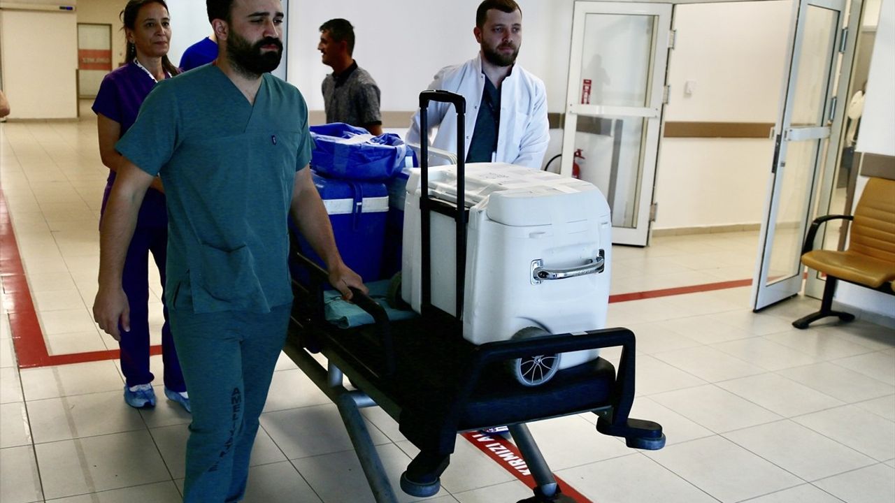 Giresun'da Organ Bağışı ile Üç Hayat Kurtarıldı