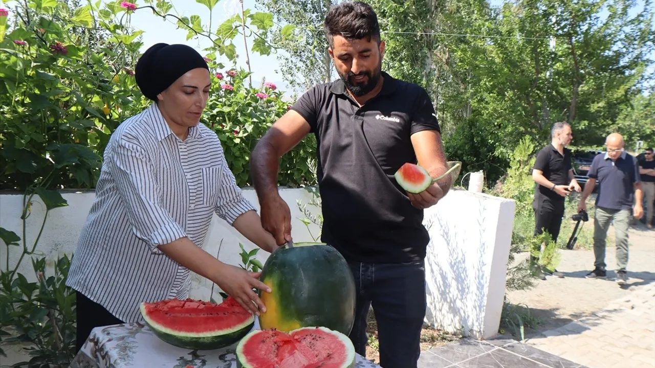 Iğdır'da Karpuz Hasadı Sevinci