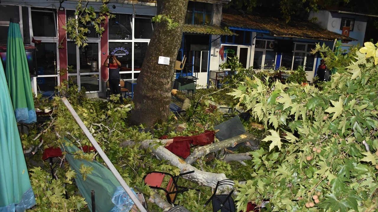 İzmir'de Asırlık Çınar Ağacı Düşen Dallarıyla 9 Kişiyi Yaraladı