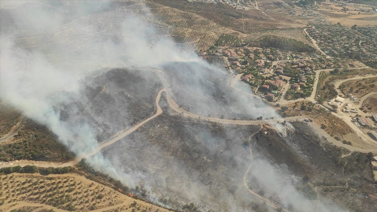 İzmir'de Makilik Alanda Yangın Çıktı