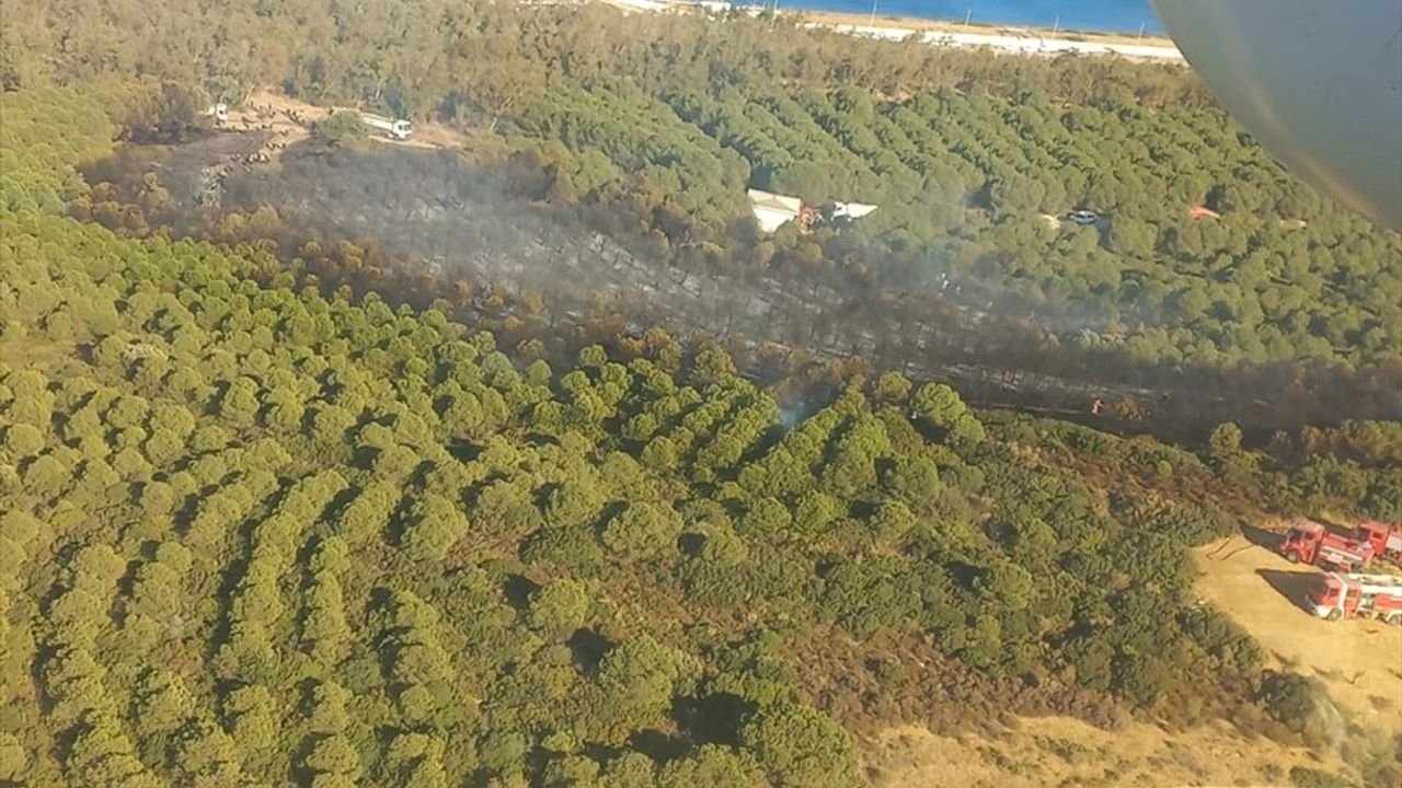 İzmir Aliağa'daki Orman Yangını Kontrol Altına Alındı