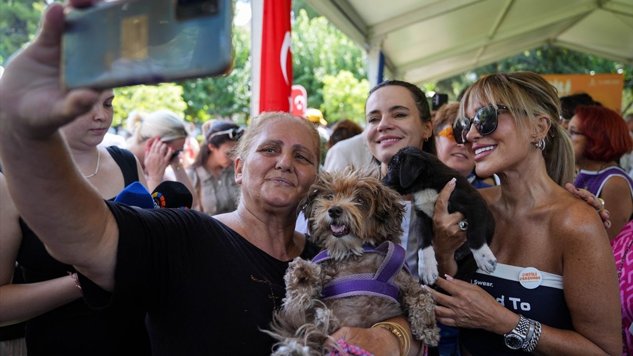 İzmir'deki Yangınlardan Etkilenen Sokak Hayvanları İçin Sahiplendirme Etkinliği