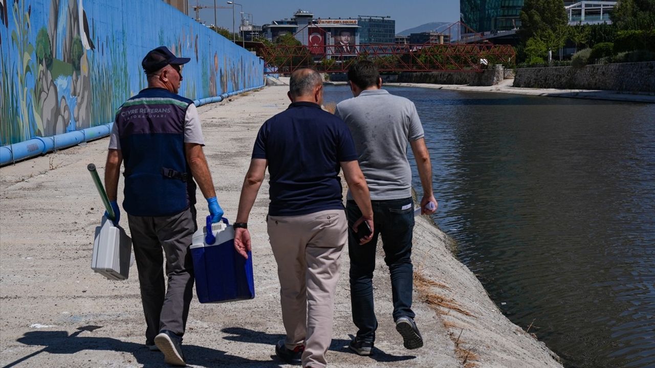 İzmir Körfezi'nde Balık Ölümleri ve Denetim Faaliyetleri