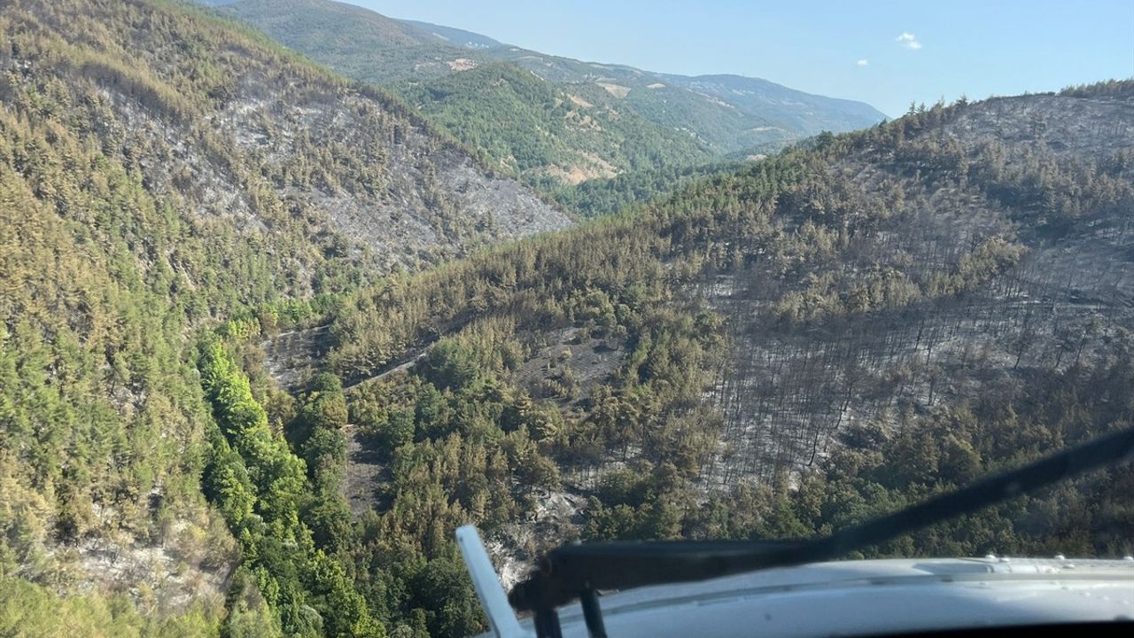 İznik'teki Orman Yangını Kontrol Altına Alındı