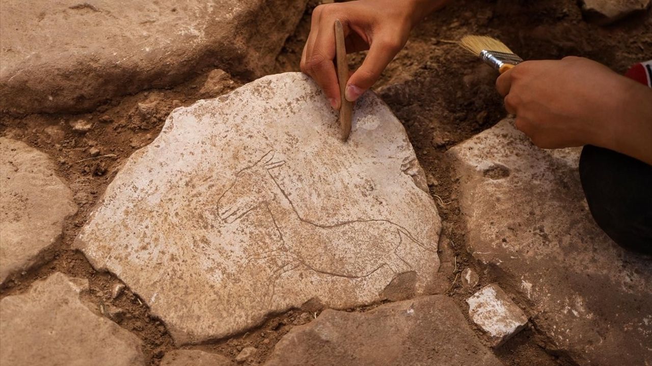 Karahantepe'de Yaban Eşeği Figürü Keşfedildi