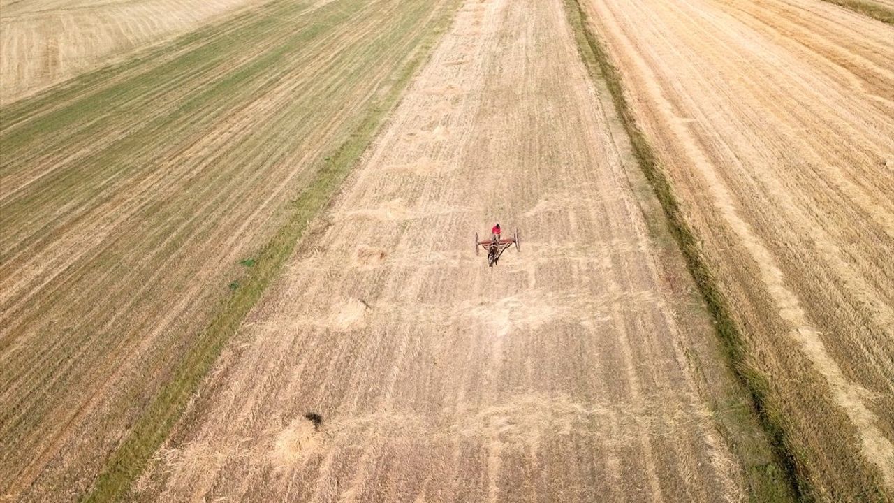 Kars'ta Çiftçilere İşlenmeyen Tarım Arazileri Kiralanacak