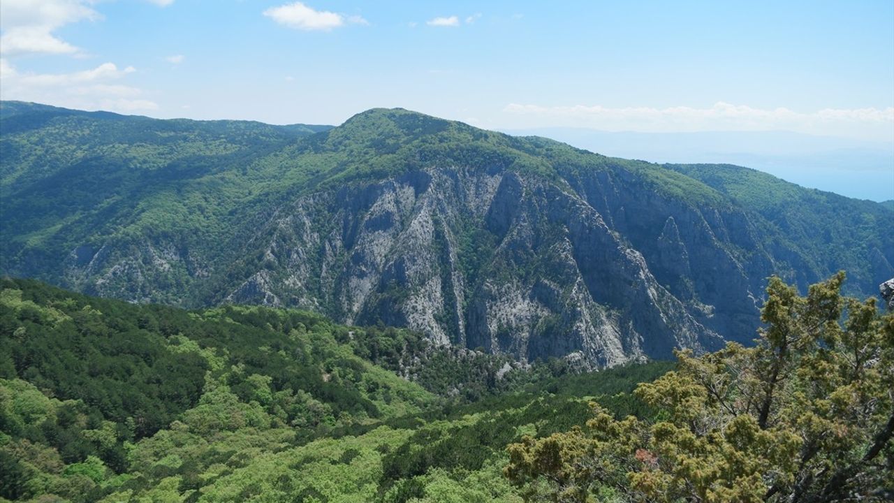 Kazdağları Milli Parkı, Yangın Riskleri Nedeniyle 31 Ekim'e Kadar Kapalı