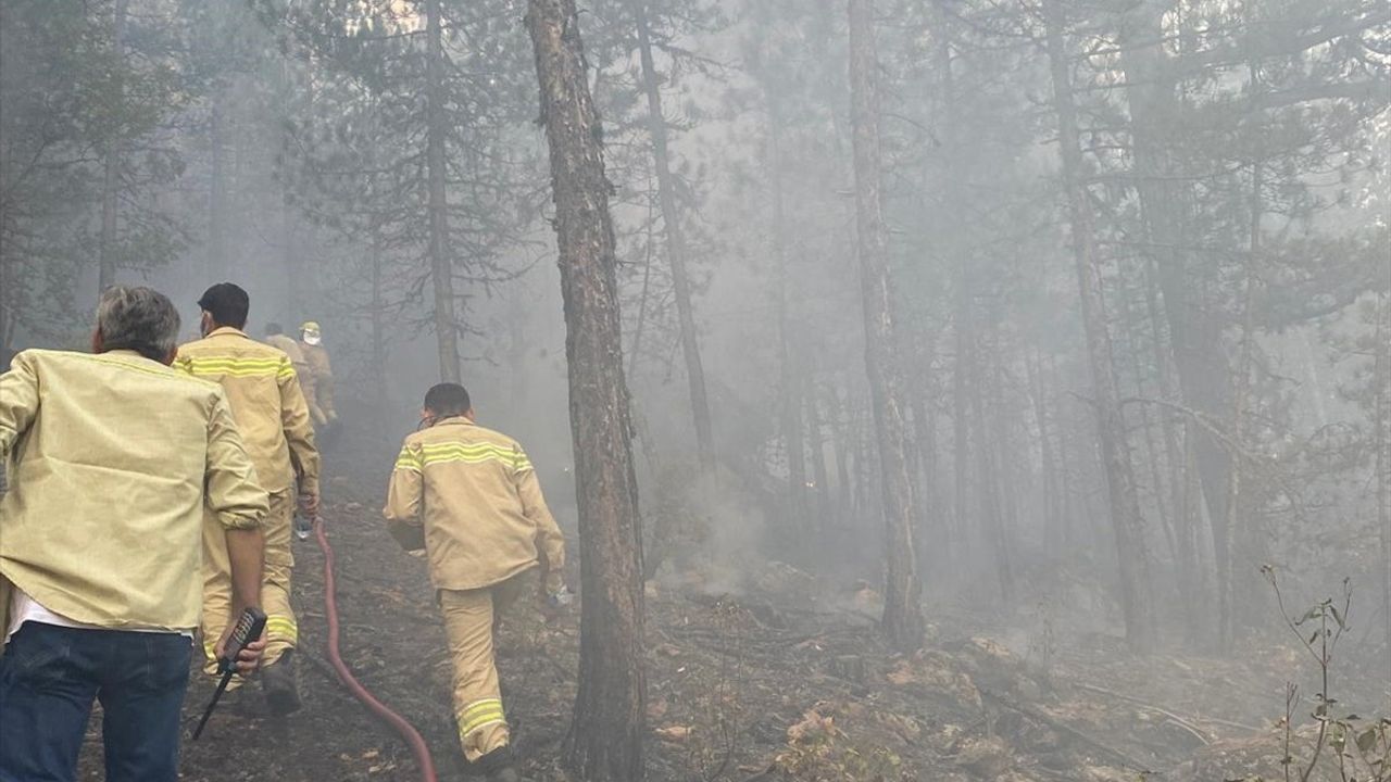 Kütahya'daki Yıldırım Yangını Ormanlık Alanı Etkiledi