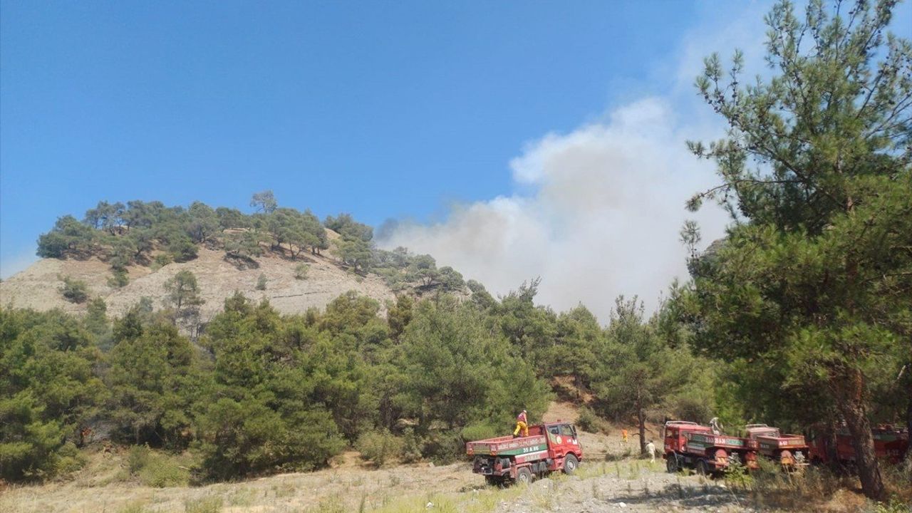 Manisa Salihli'de Orman Yangınına Müdahale Devam Ediyor