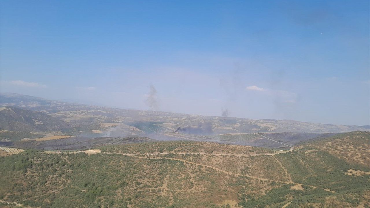 Manisa Salihli'deki Orman Yangınına Müdahale Başladı