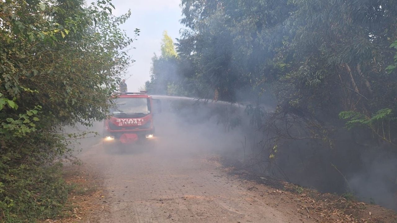 Osmaniye'de Orman Yangını Kontrol Altına Alındı